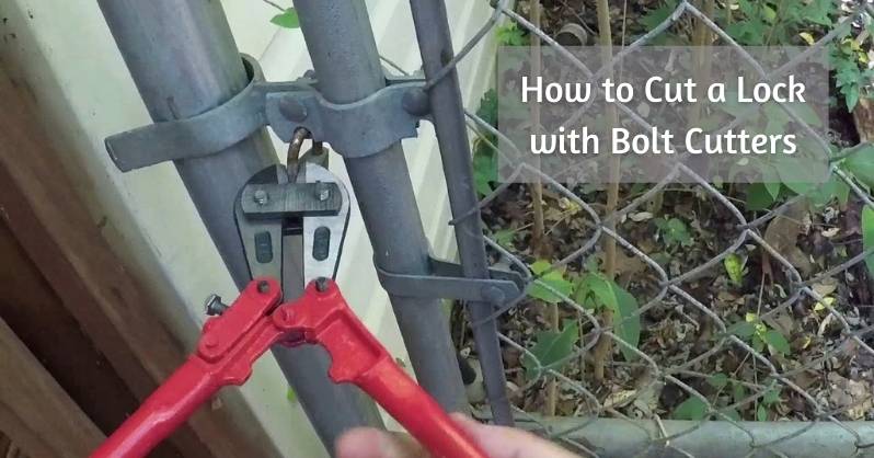 How To Cut A Lock With Bolt Cutters